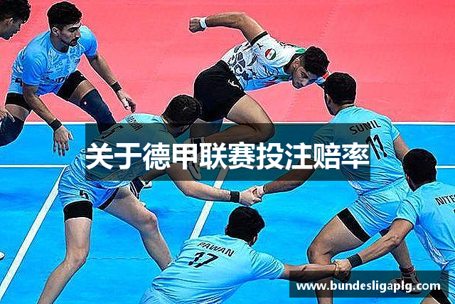 关于德甲联赛投注赔率